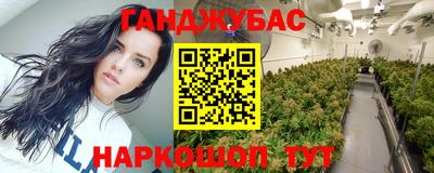 дмт Будённовск