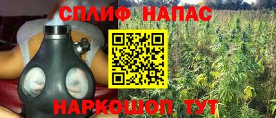 дмт Будённовск