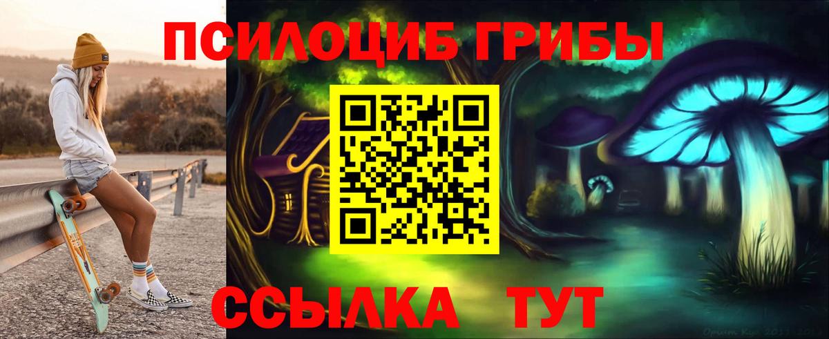 Тимашёвск  закладки  Вход с VPN  Галлюциногенные грибы Psilocybe 